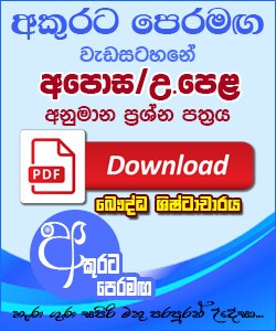 අනුමාන ප්‍රශ්න පත්‍රය